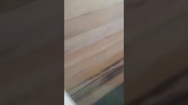 Знакомство,,,, экскурсия