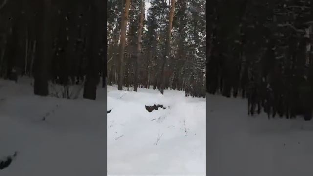 Жук идет на рыбалку!!!