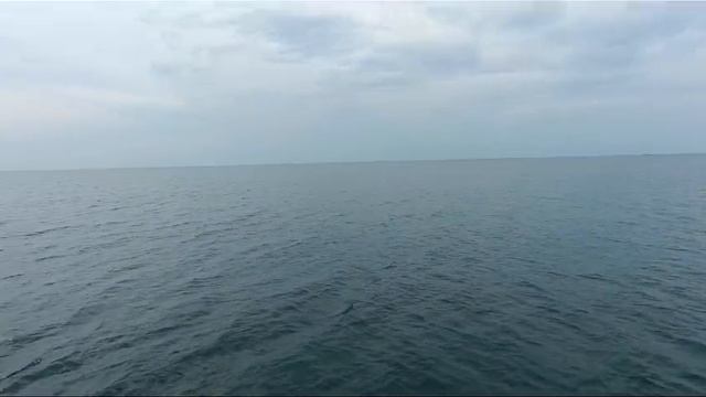 VID-20240905-WA0022.mp4