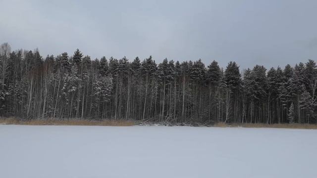 Рыборазводный пруд на Аракуле. 22 декабря 2021 г.