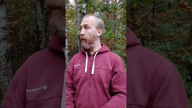 "ОБРАЗЫ ЗДРАВЫ" - КАЧАНИЕ ПЛОСКОСТЬЮ.
