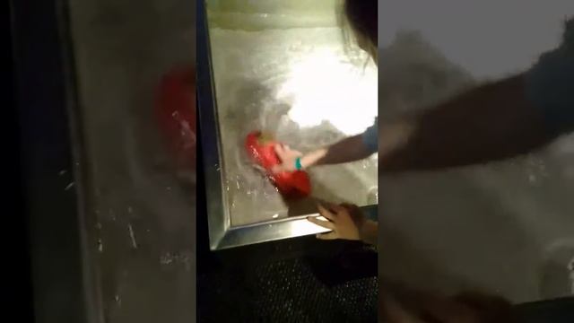 Музей Эксперементариум(3)