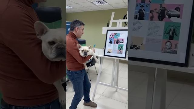 Илон Маск | Цитаты | Директор по развитию | Французский бульдог