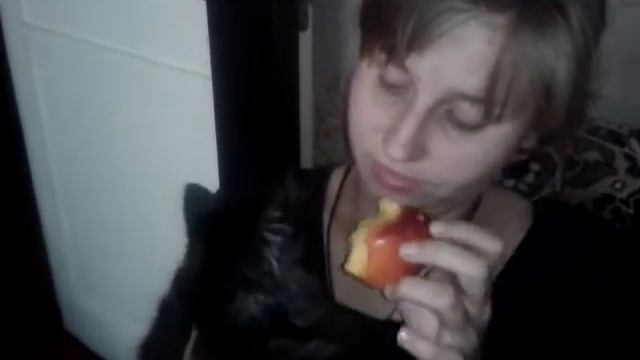 Котенок ест персик