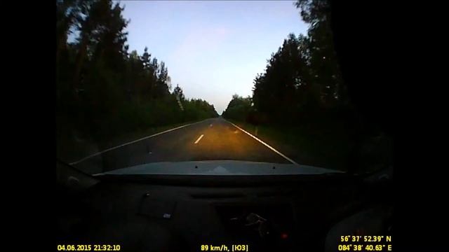 Лось на Моряковской трассе