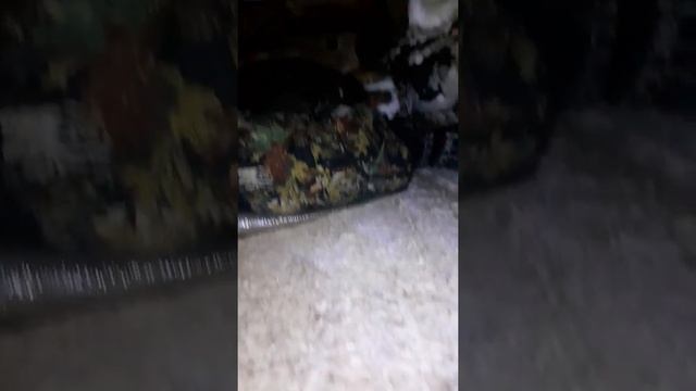Полный п*****, автобус Паз пневмо энергачи.