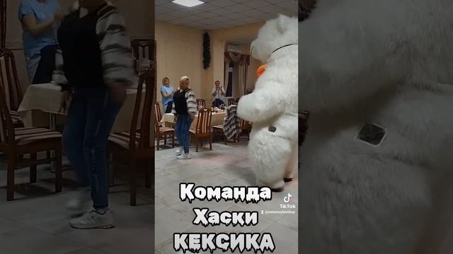 Команда Хаски КЕКСИКА