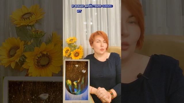 Карта дня