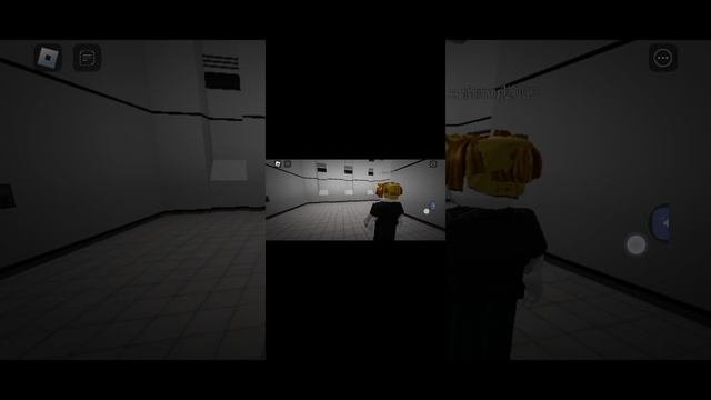 1000172889.mp4