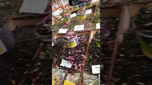 Адлерский рынок шумит и гудит...