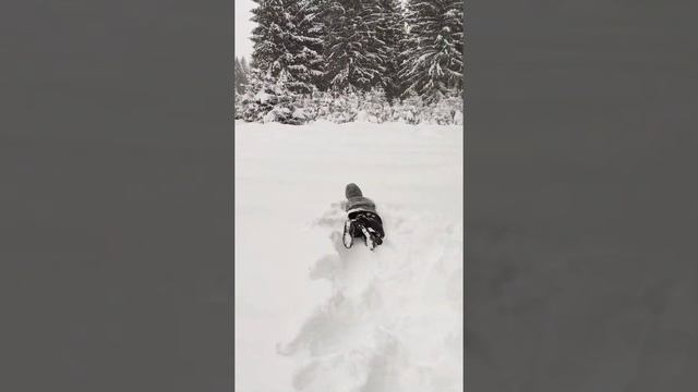 Зима в Подмосковье!