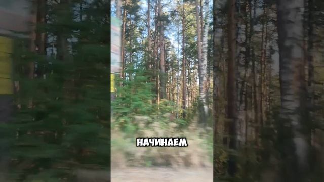 набор фокус-группы, записывайся