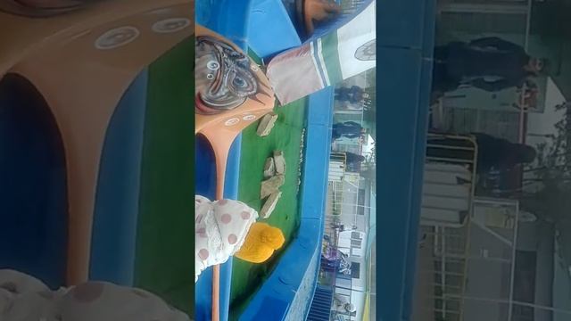 Карусели индийские лодки