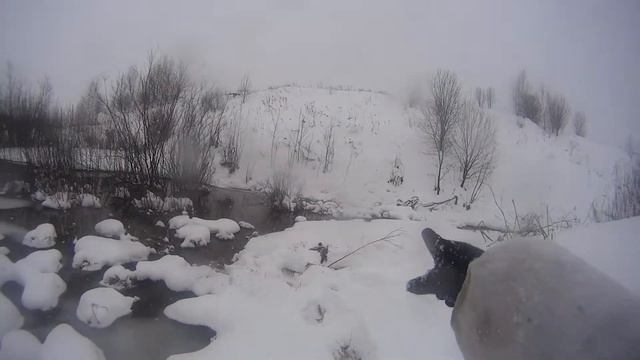 Охота на утку,взял двух уток