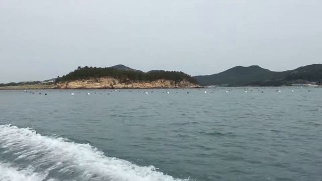 Работа в Корее на острове