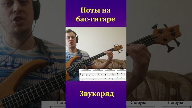 НОТЫ НА БАС-ГИТАРЕ. ЗВУКОРЯД