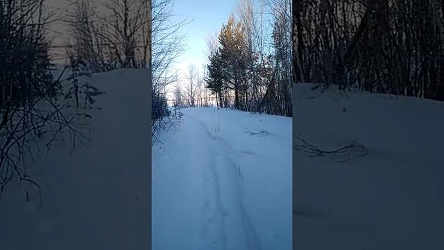 Ездил на зимнюю рыбалку с Ник Смолом