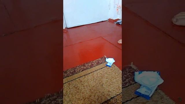 Луинор ел 3 против кербеуса бе 2 бейблейд берст