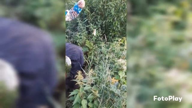 Я пошёл на рыбалку вместе с котом и дедушкой.