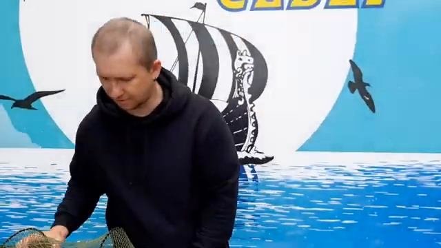 Интервью с гостями.