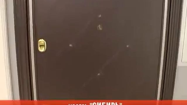 Стальные входные двери