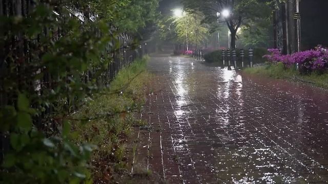 밤에 빠르게 잠드는 기분좋은 빗소리와 함께 깊은수면, 긴장을 풀고 휴식