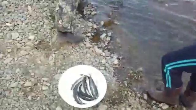 мы с семей ловим рыбу
