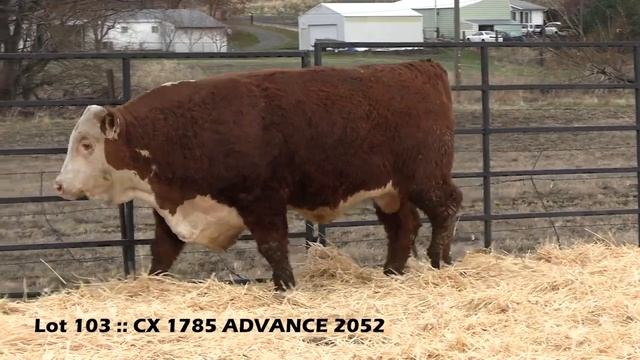 Lot 103 CX 1785 ADVANCE 2052