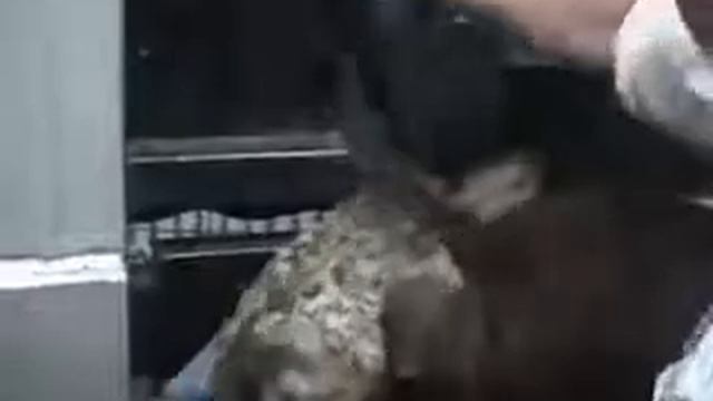 Убой