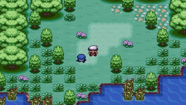 Pokemon Wild Lands — Фанатская игра, игра с открытым миром и Chill BG, квесты, задания, 286 до 9-го