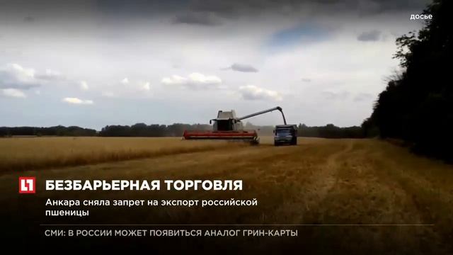 Анкара сняла запрет на экспорт российской пшеницы