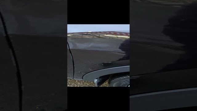 Haval F7x.mp4