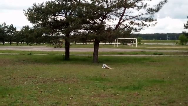Крутой заезд радиоуправляемых автомоделей...