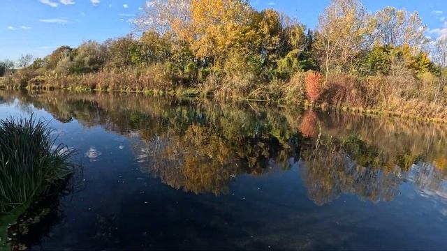 Amazing nature - rainbow trout attack