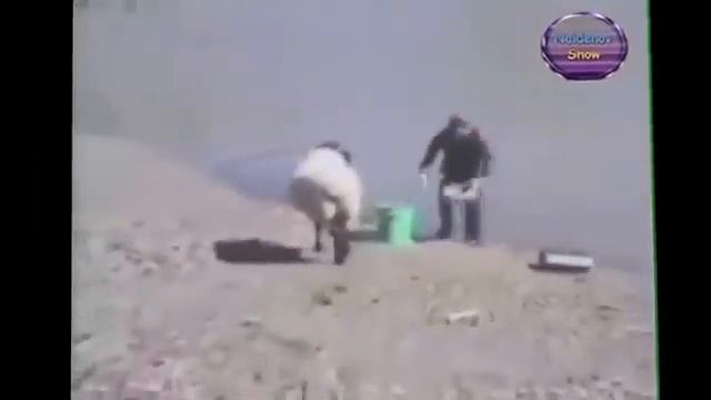 ПРИКОЛЫ НА РЫБАЛКЕ. ВОТ ЭТО КЛЕВ.....