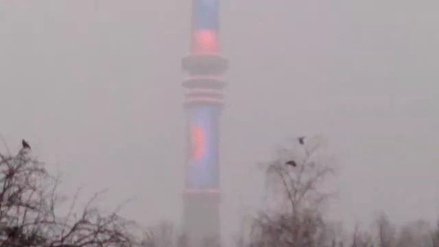 Останкинская башня, вид с парка.