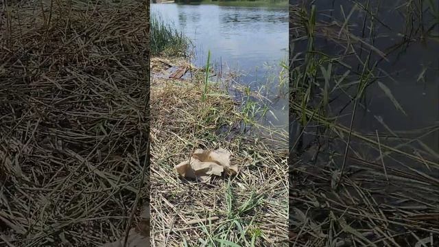 где я сегодня буду рыбачить.