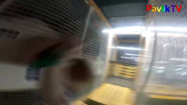 Семейный отдых! Театр! Весна! Опыт с ветками!