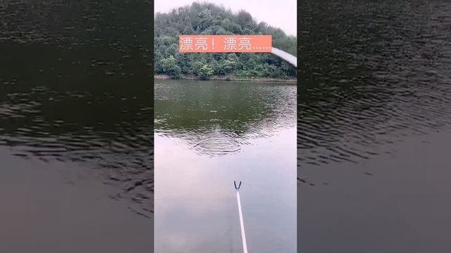 Fishing Videos  Female Fishing Videos  Fishing In The Dark # 17