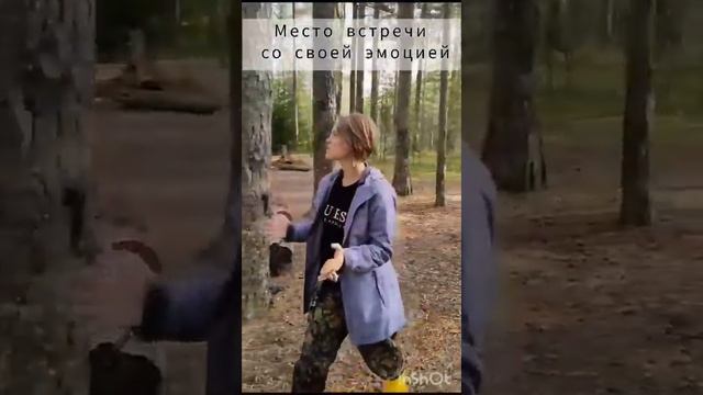 Обзорная экскурсия по местам прогулки -перезагрузки в лесу.