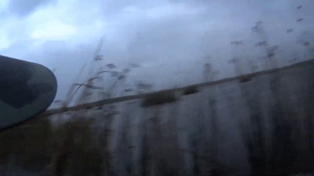 Охота на утку.Налеты лысухи.Hunting for a duck
