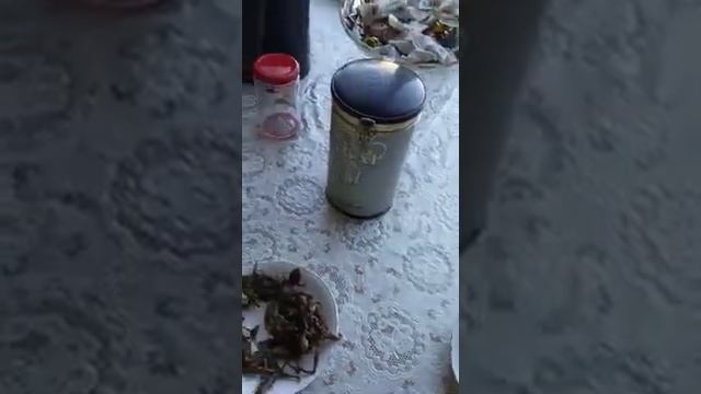 Сушеные лягушки и тараканы. Вкуснятина!!!