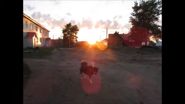 Соловки - это чудо!