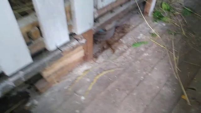 Не знаю какие ещё придумать кормушки для сена