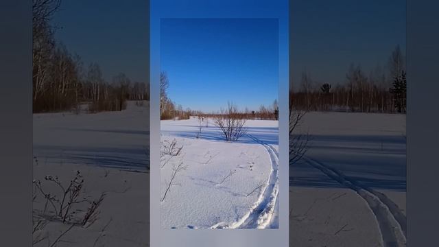 Авторская песня "Лыжи"  автор Михаил Гудков.