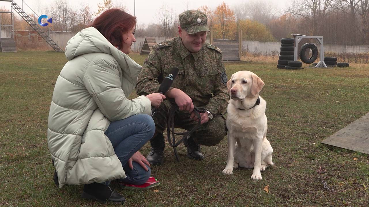 В Петрозаводске прошёл чемпионат Карельского общества «Динамо» по многоборью со служебными собаками