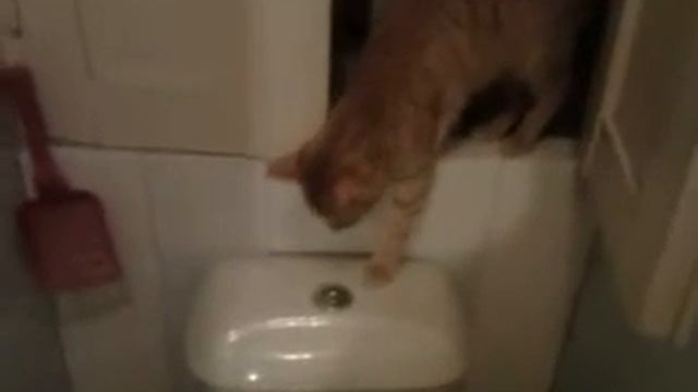 Видео0067.mp4