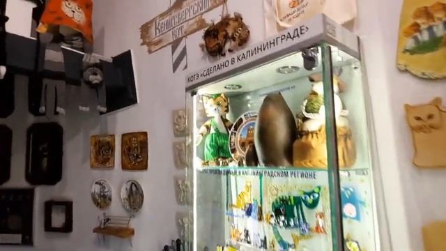 В Зеленоградск в Мурариум
