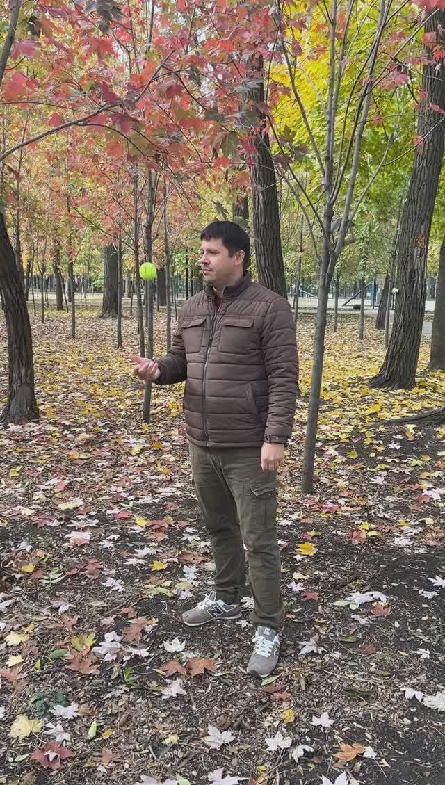 Эффект неожиданности
