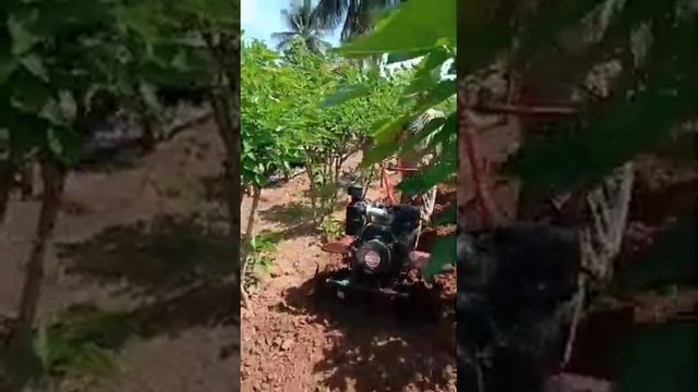 This is kISAN-SHAKTHI Diesel power weeder 9HP (186F) Engine with 2+1 Gear system.40 Blades & Tires